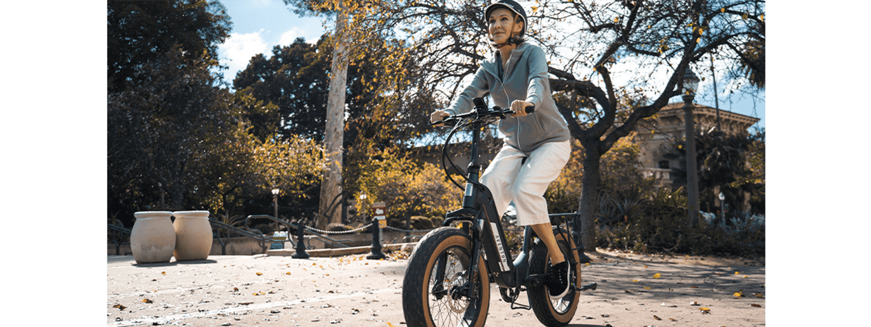 Foldable Electric Bikes Best Buy Canada