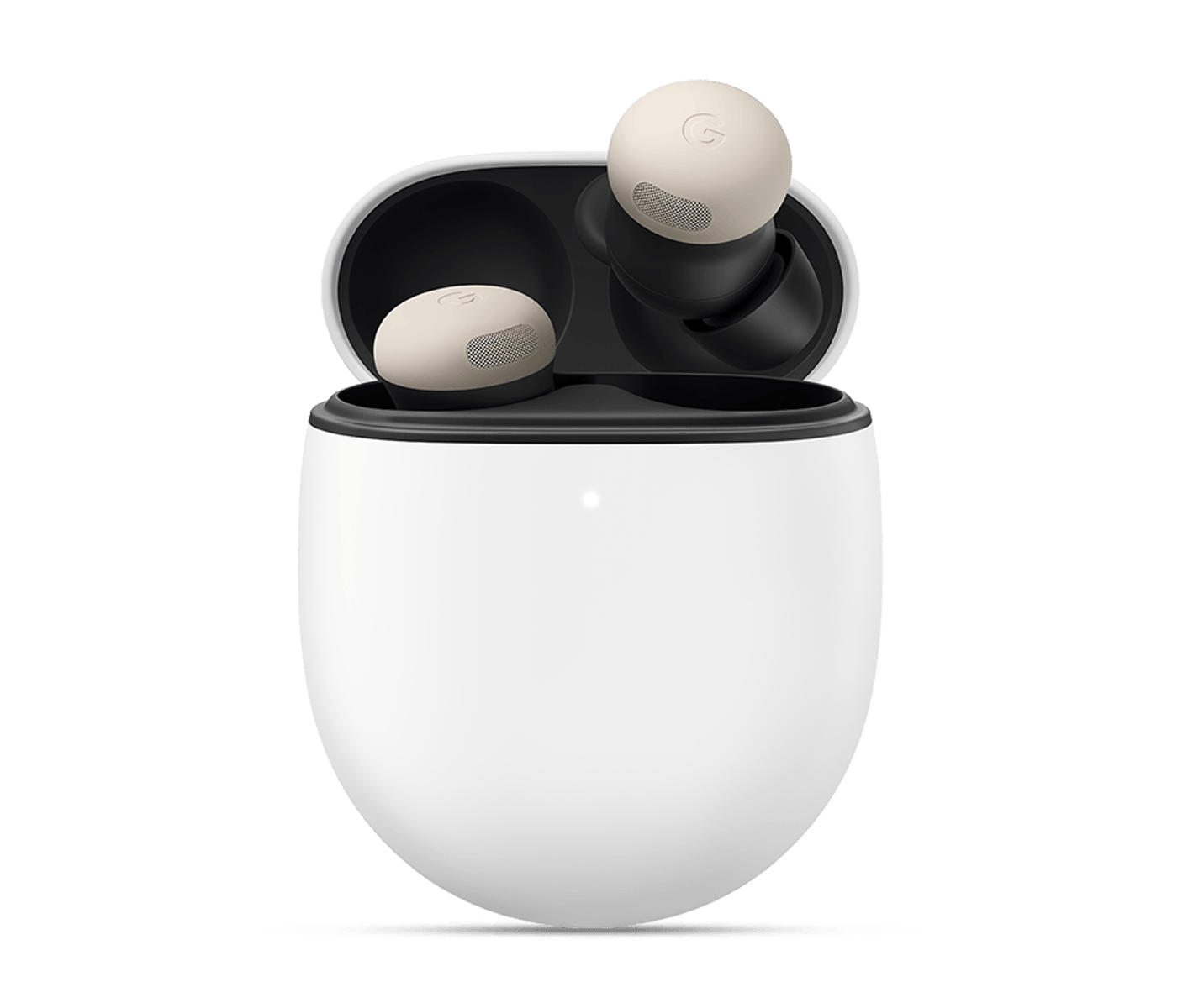 brand-exp-google-l1-20240813-
