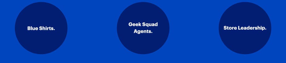 Blue Shirts, Geek Squad Agents, Store Leadership